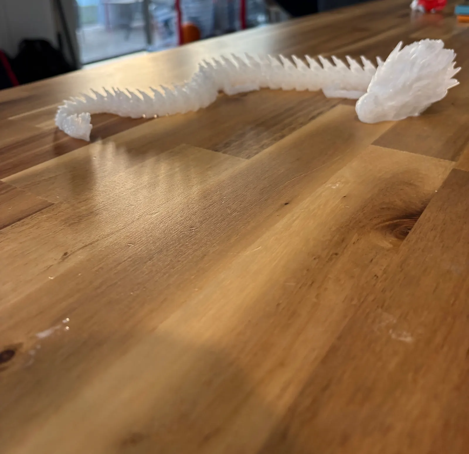 Panoramic articulated dragon stretched across a wooden table