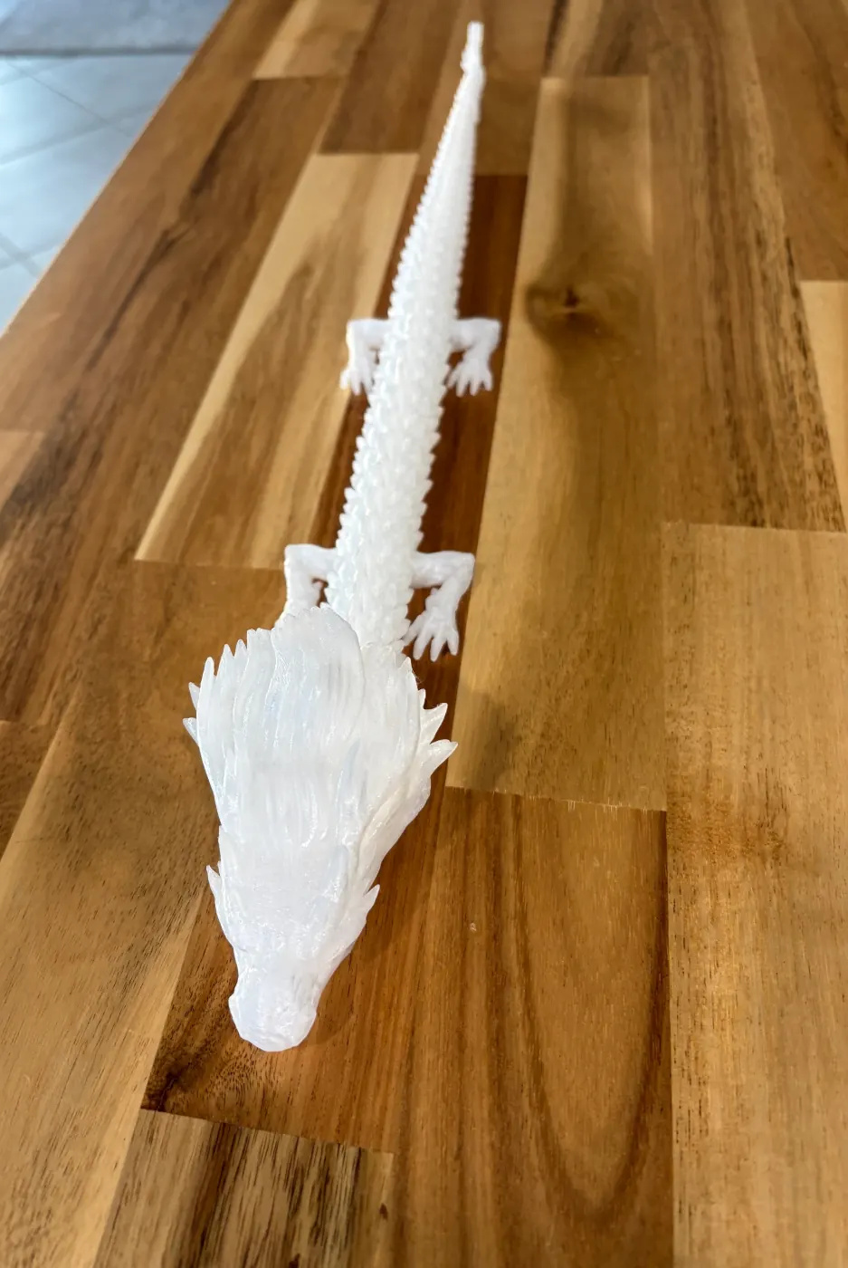Top view of an articulated dragon print